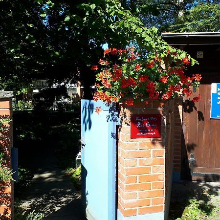 Chez Jean Et Daisy Bed & Breakfast Riehen Luaran gambar