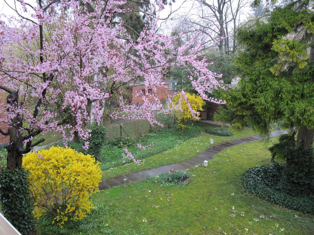 Chez Jean Et Daisy Bed & Breakfast Riehen Luaran gambar