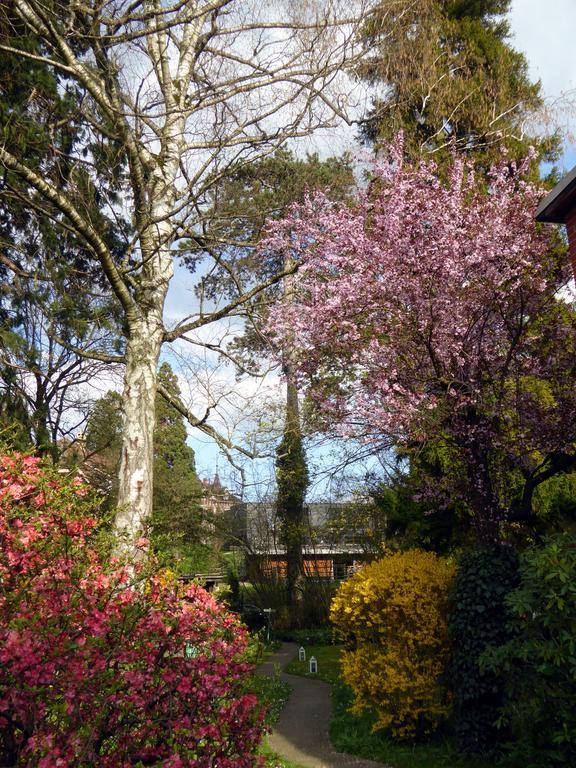 Chez Jean Et Daisy Bed & Breakfast Riehen Luaran gambar